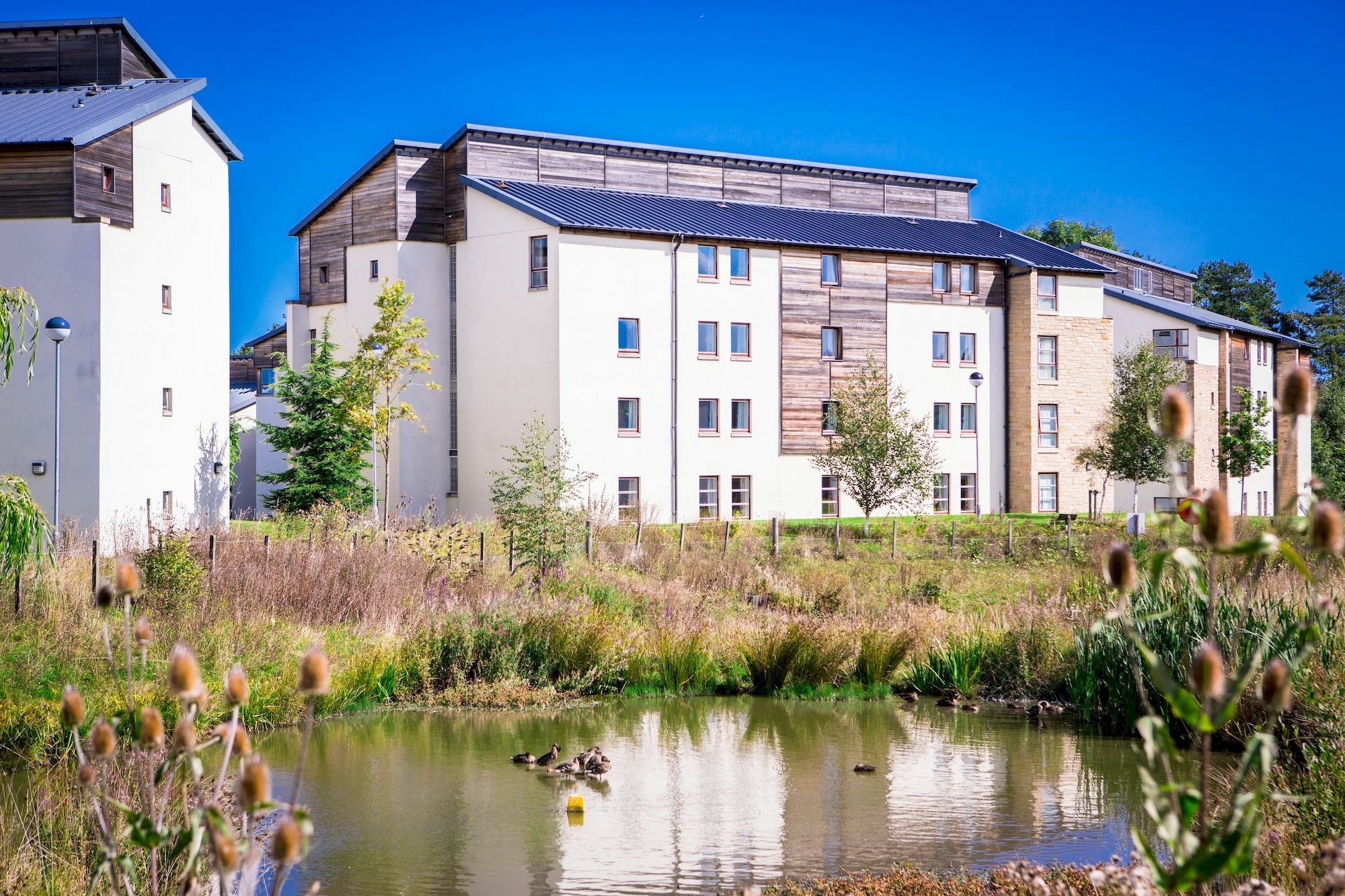 David Russell Apartments - Campus Accommodation St Andrews Bagian luar foto